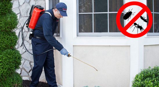 Hekimhan Böcek ve Haşere İlaçlama böcek ilaçlama ve haşere kontrolü — ilaclama-tr.com